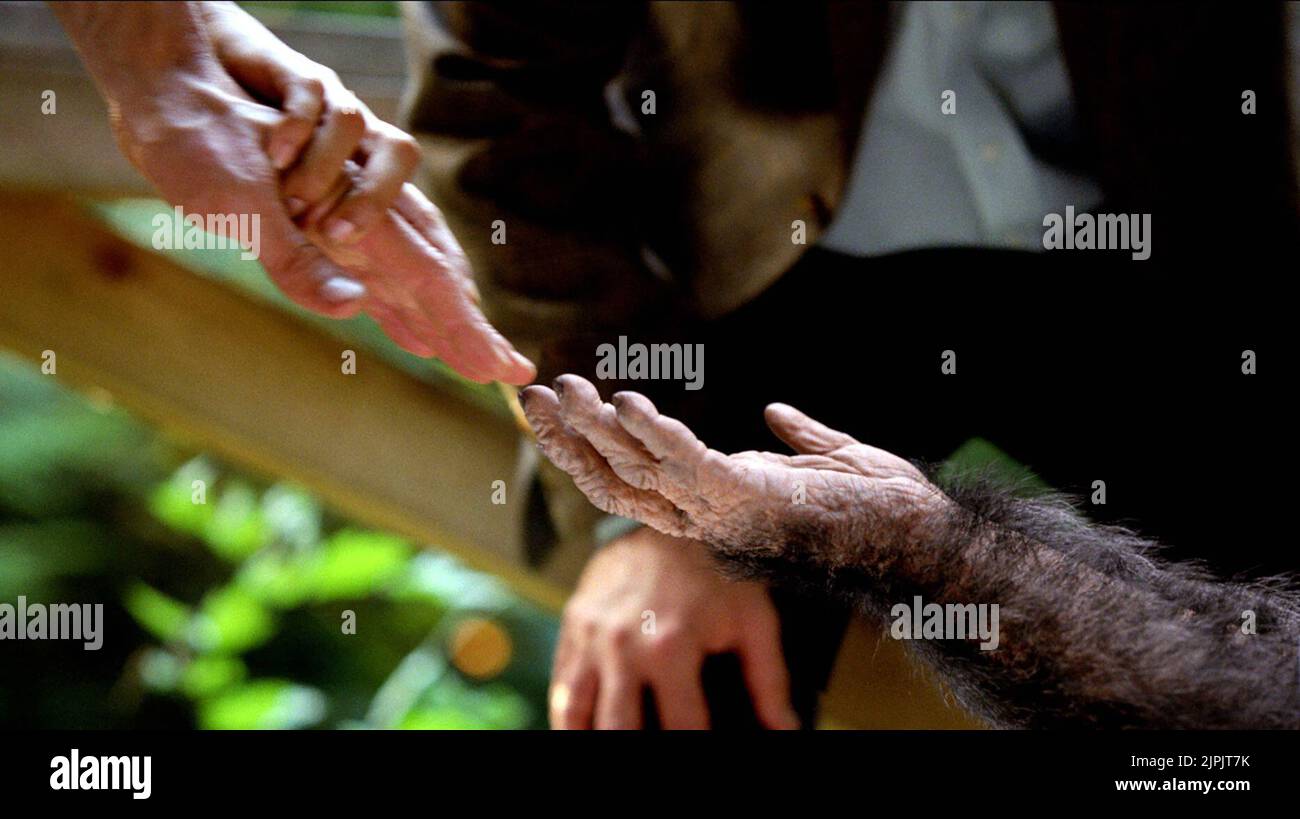 HANDS TOUCHING, RISE OF THE PLANET OF THE APES, 2011 Stock Photo