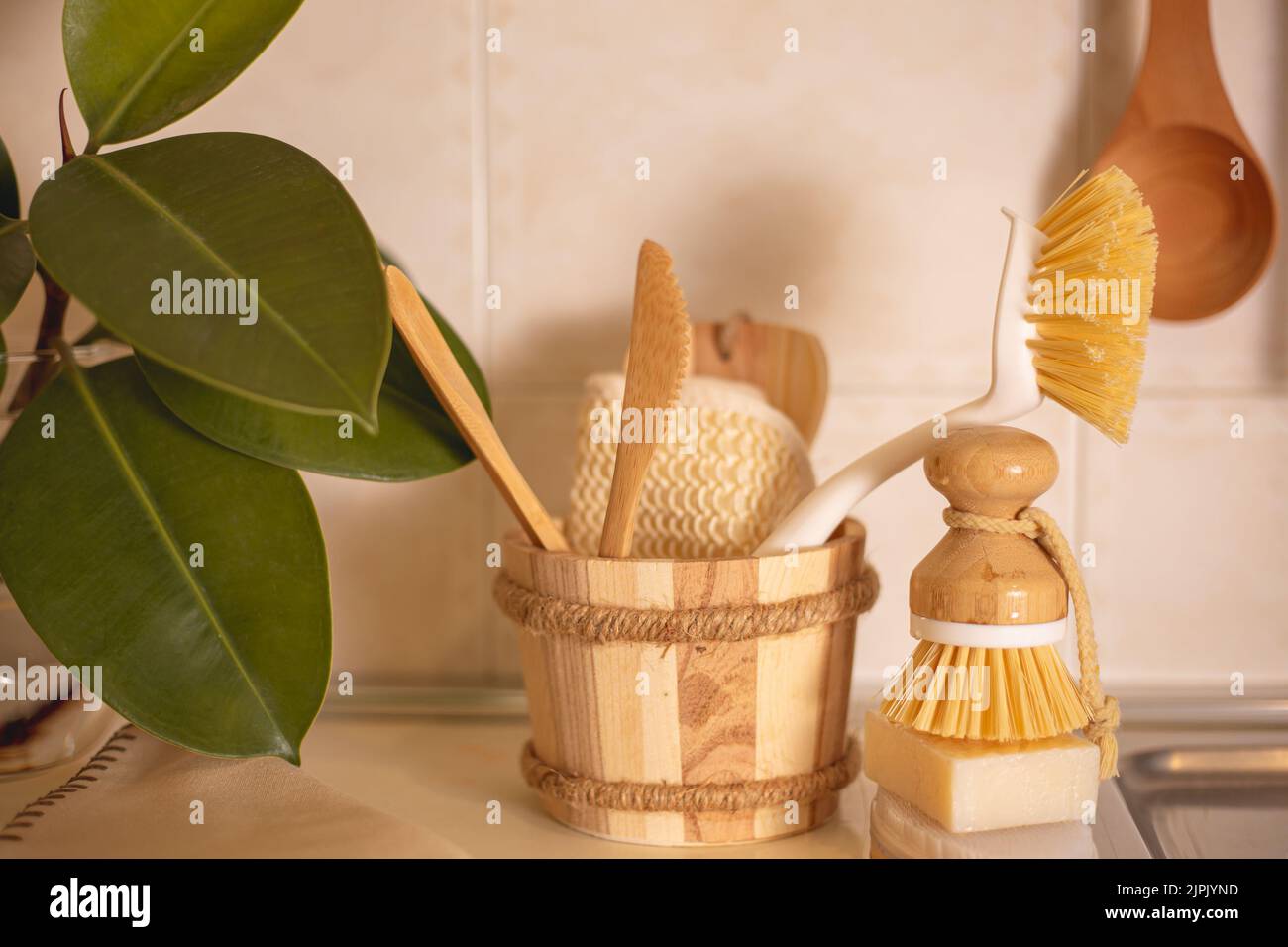 Ecofriendly accessories natural cleaning products , bamboo dish