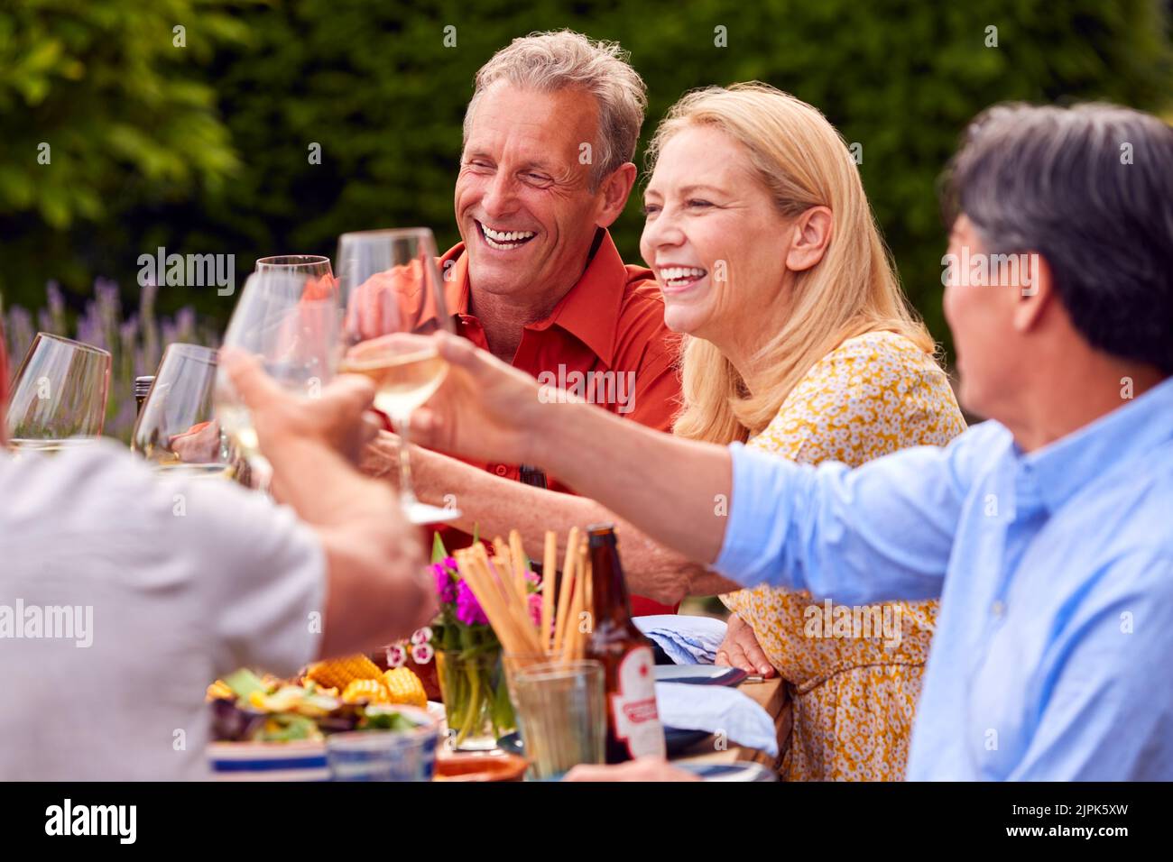 summer, friends, dinner, toast, cheers, summers, friend, dinners, toasts, cheer Stock Photo