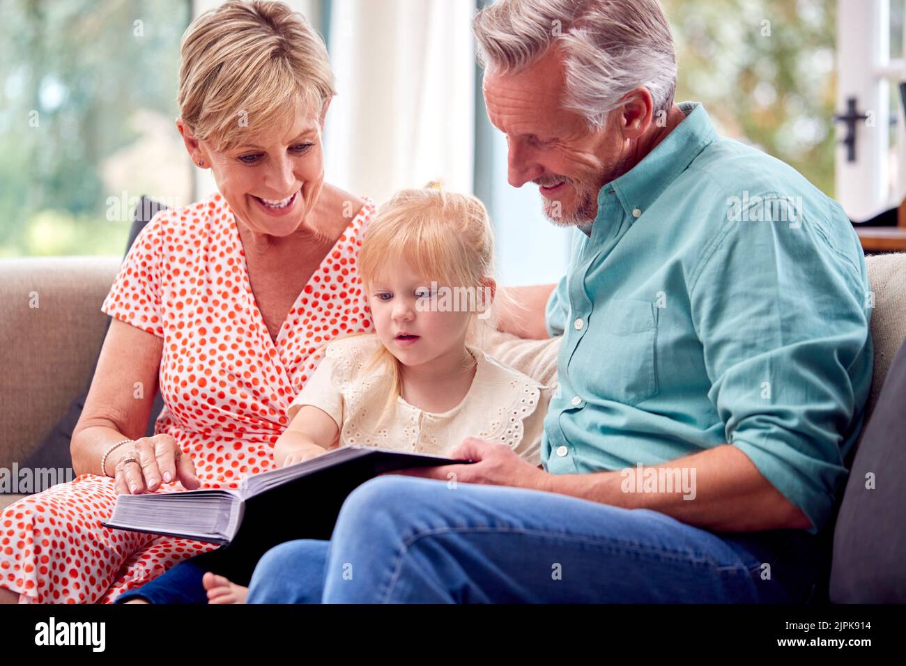 showing, grandparent, photo album, grandchild, childcare, grandparents