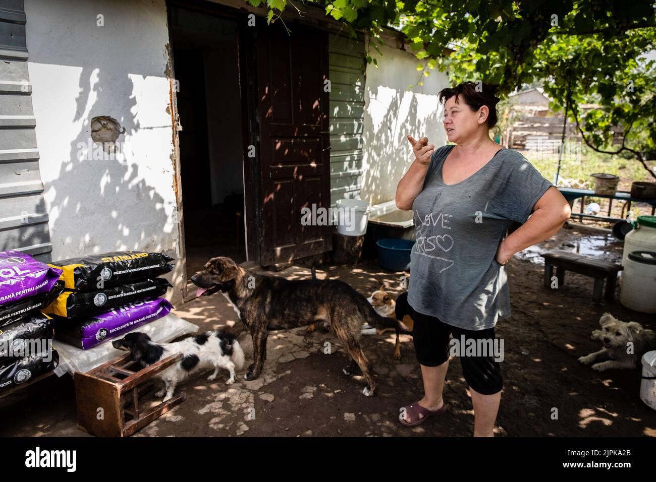 Zelenyy Hay, Ukraine. 18th Aug, 2022. Valentina now living with her dogs at her house in Zelenyy Hay, Mykolaiv Oblast, she chose to stay behind as she now takes care of 33 dogs and other animals in the village. As Ukrainian officials have claimed partiality to recover their territory, and launching a counter-offensive in the south axis of the country including Mykolaiv Oblast, the area has been under heavy fighting, and the liberated villages surrounding Mykolaiv city have been under heavy shelling. Credit: SOPA Images Limited/Alamy Live News Stock Photo