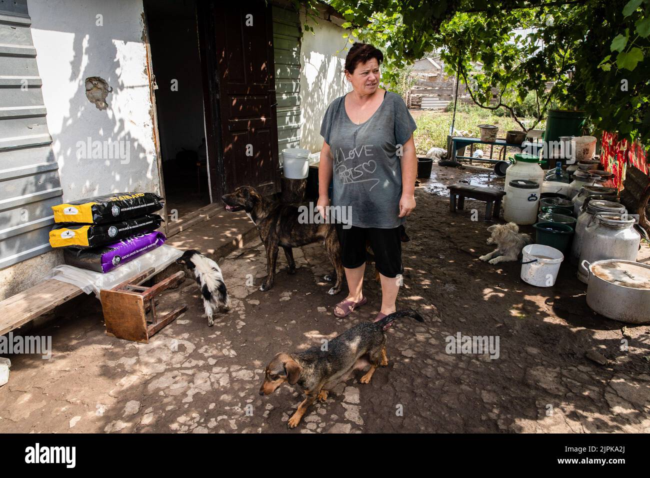 Zelenyy Hay, Ukraine. 18th Aug, 2022. Valentina now living with her dogs at her house in Zelenyy Hay, Mykolaiv Oblast, she chose to stay behind as she now takes care of 33 dogs and other animals in the village. As Ukrainian officials have claimed partiality to recover their territory, and launching a counter-offensive in the south axis of the country including Mykolaiv Oblast, the area has been under heavy fighting, and the liberated villages surrounding Mykolaiv city have been under heavy shelling. Credit: SOPA Images Limited/Alamy Live News Stock Photo