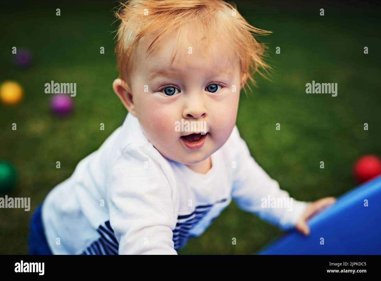 There is much fun to be had. an adorable little boy playing in the backyard. Stock Photo