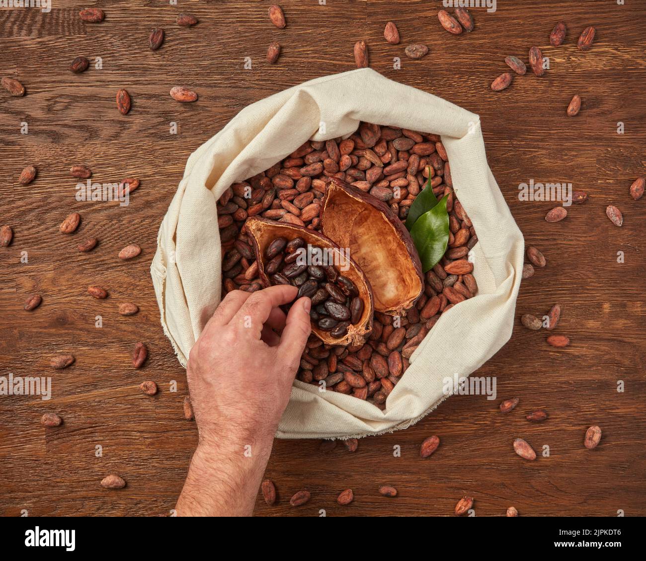 casino cocoa