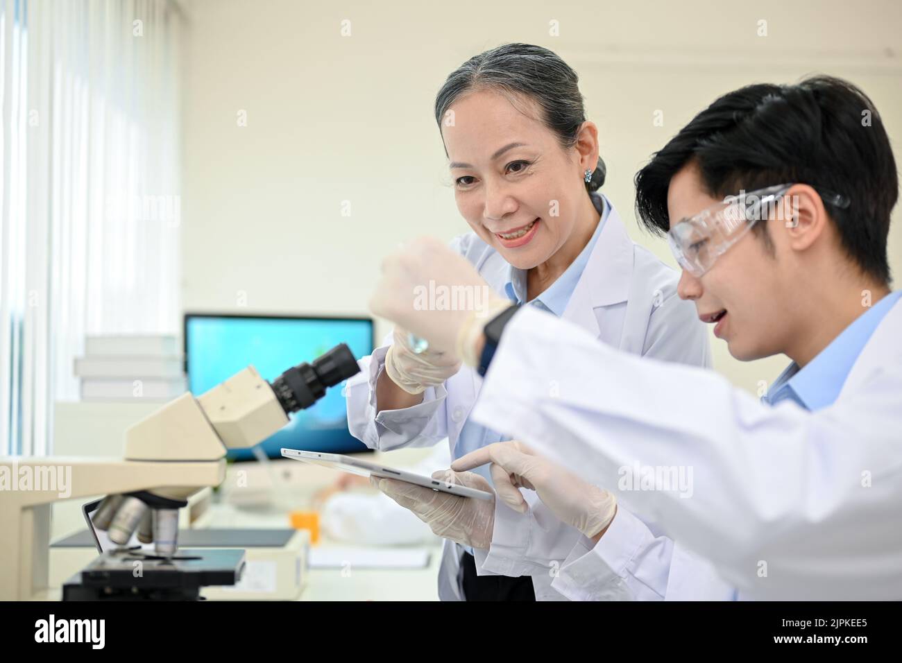 A talented young Asian male medical specialist or scientist working in the lab with senior female supervisor. Stock Photo