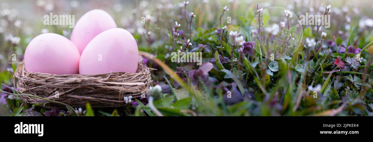 easter egg, easter nest, easter eggs, easters Stock Photo