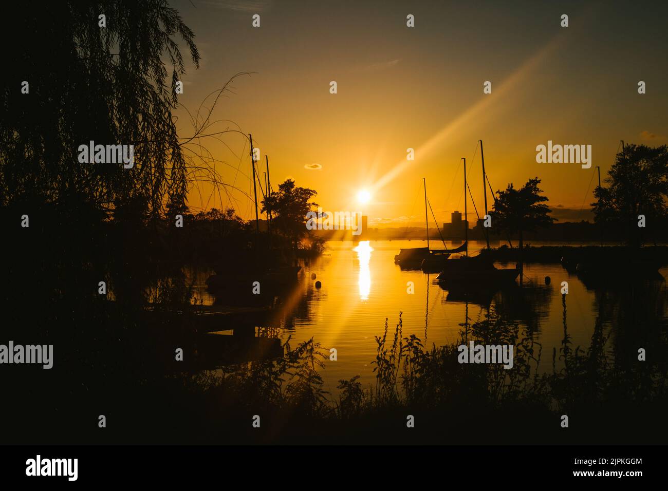 Rays of golden sunlight hi-res stock photography and images - Alamy
