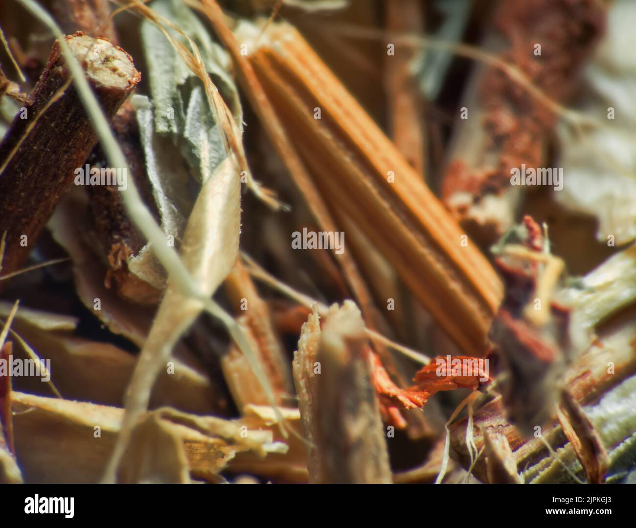 Herb repertory (dry vulnerary plants), officinal mixture for herbal tea