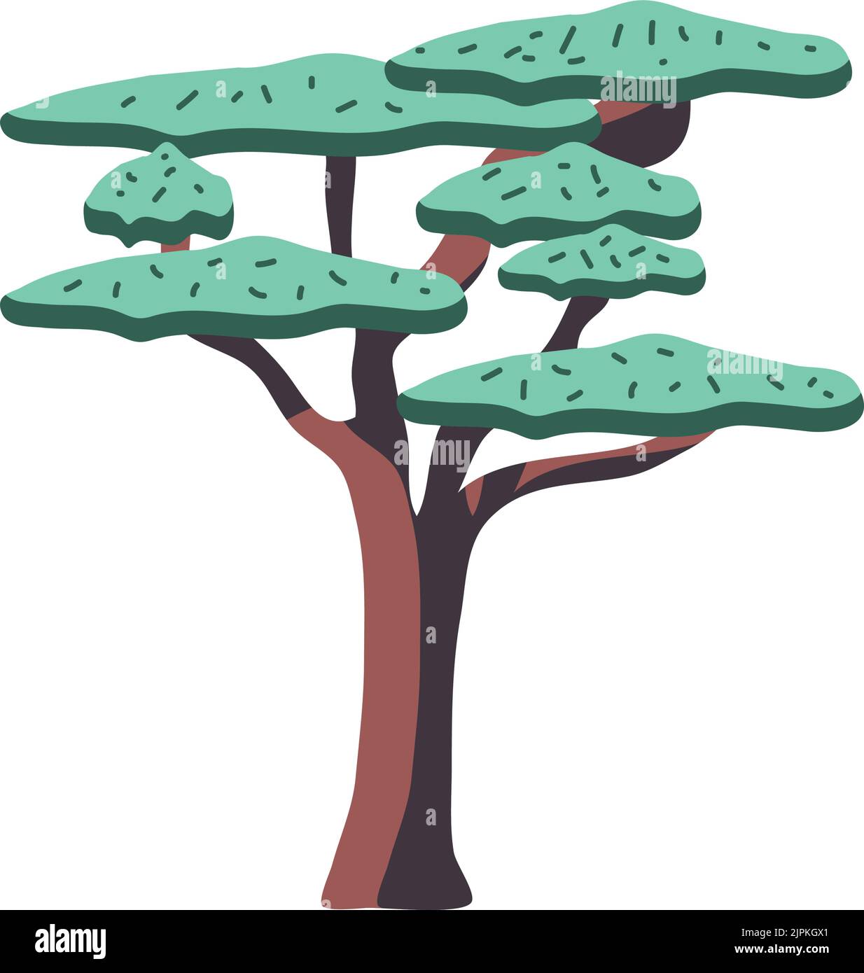 bonsai tree icon Stock Vector Image & Art - Alamy