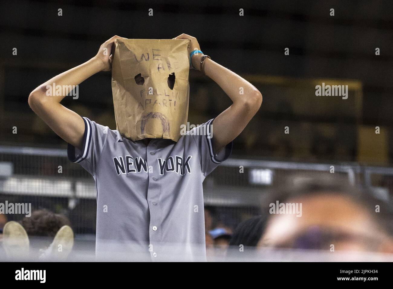 New york yankees fan hi-res stock photography and images - Alamy