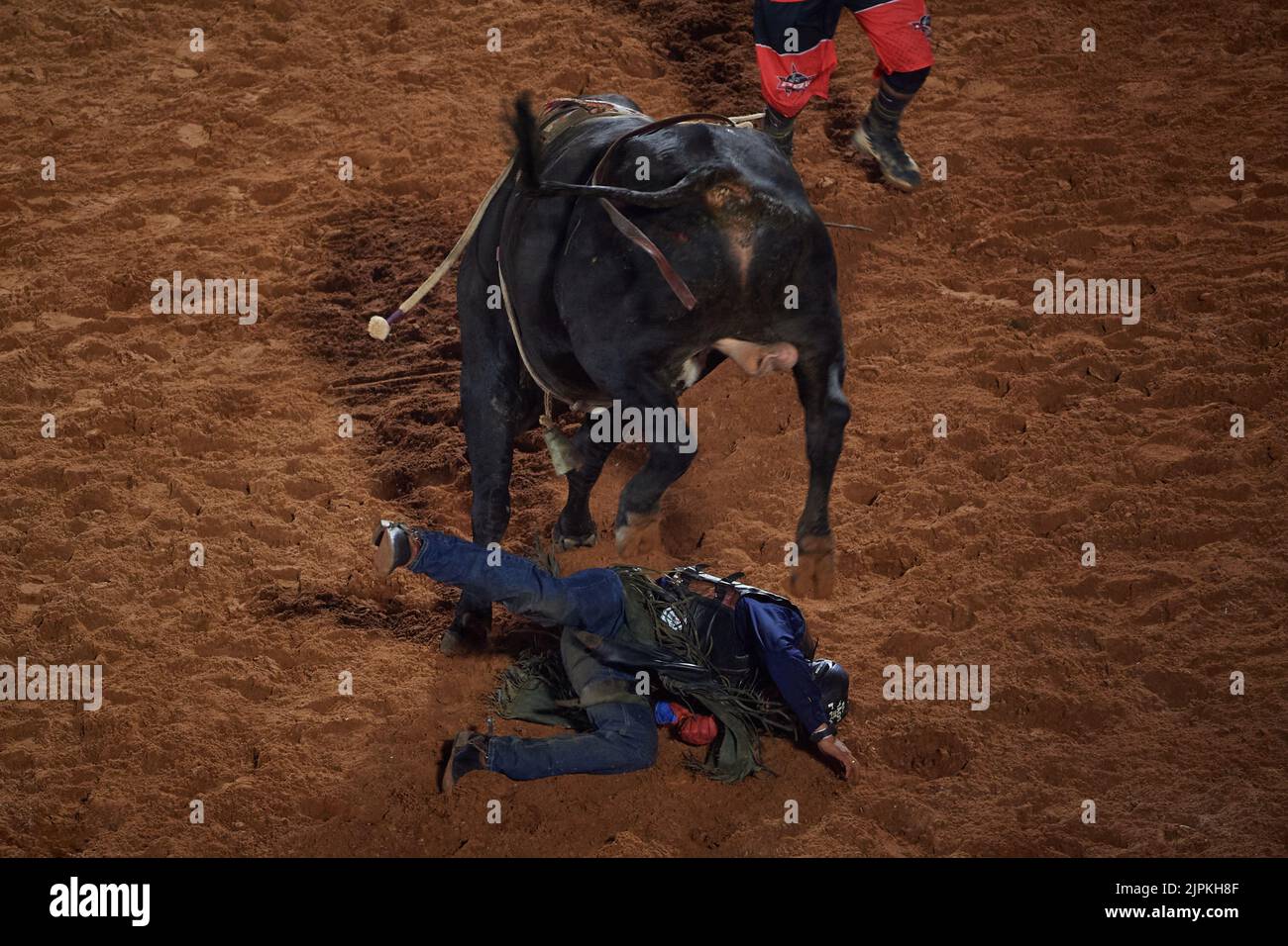 Barretos, Brazil. 18th Aug, 2022. Bull rider falls during the first day of Cowboy Festival in Barretos, Sao Paulo, Brazil, on August 18, 2022. (Photo by Igor do Vale/Sipa USA) Credit: Sipa USA/Alamy Live News Stock Photo