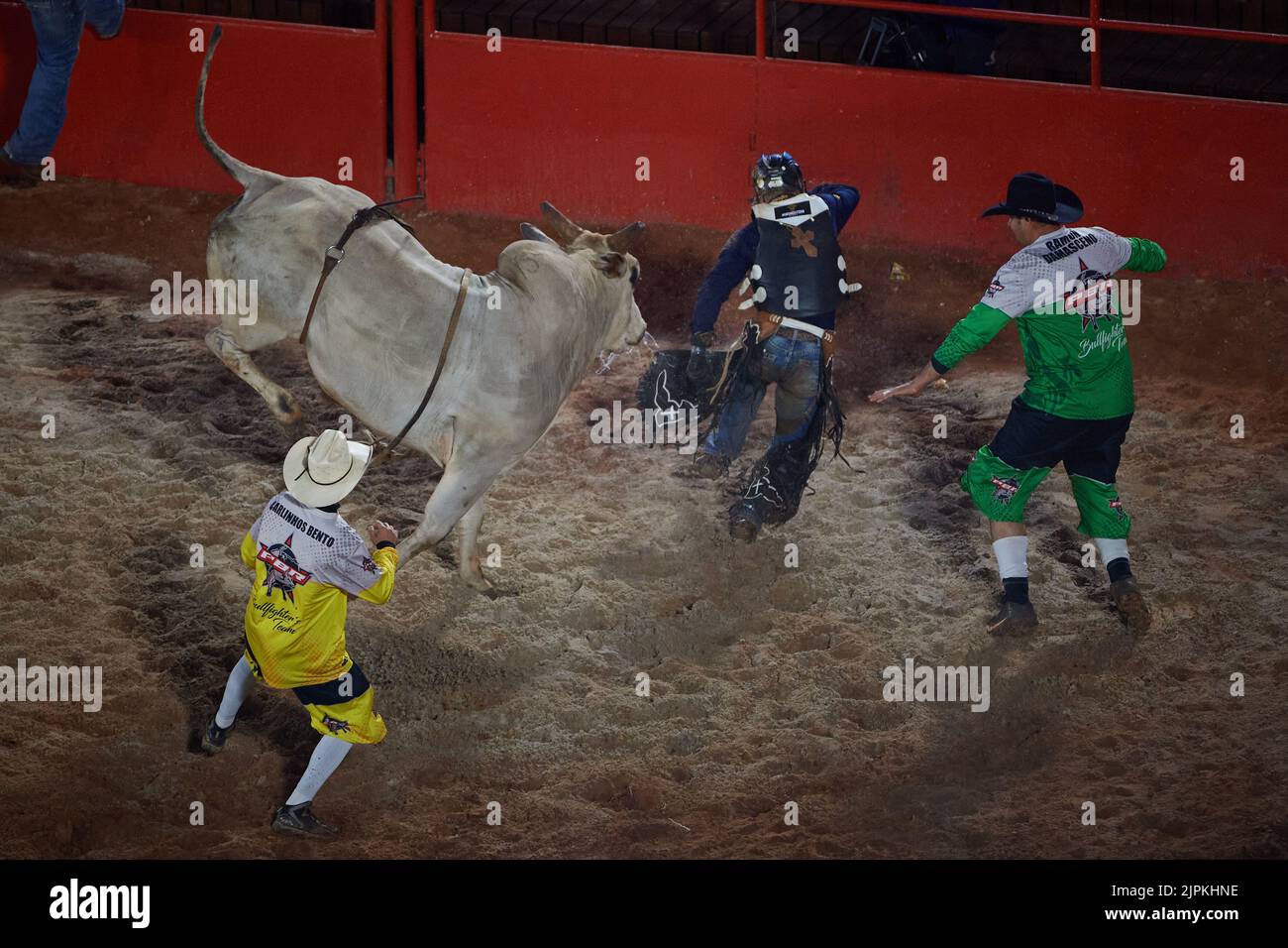 Barretos, Sao Paulo, Brazil. 18th Aug, 2022. Bull rider runs for cover after falling during the first day of Cowboy Festival in Barretos, Sao Paulo, Brazil, on August 18, 2022. (Credit Image: © Igor Do Vale/ZUMA Press Wire) Stock Photo
