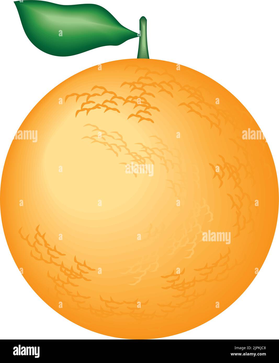 realistic fruit orange Stock Vector Image & Art - Alamy