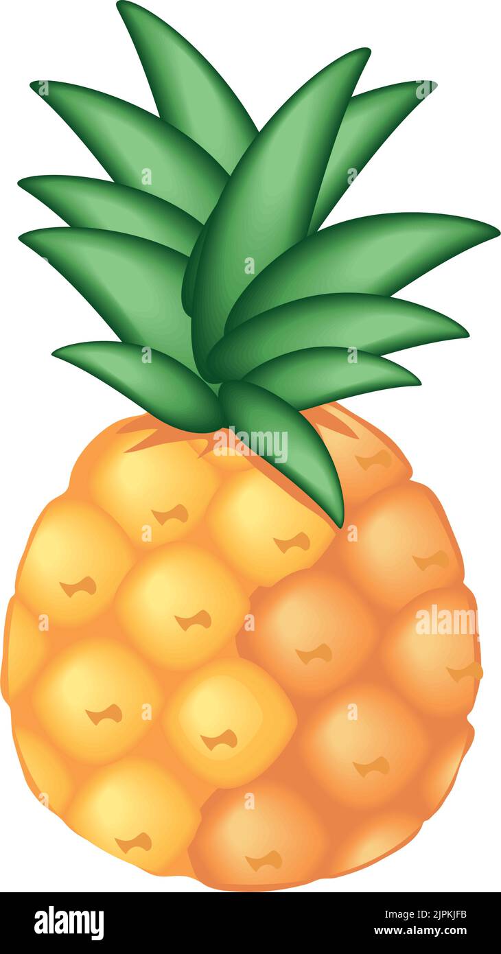 realistic fruit pineapple Stock Vector Image & Art - Alamy