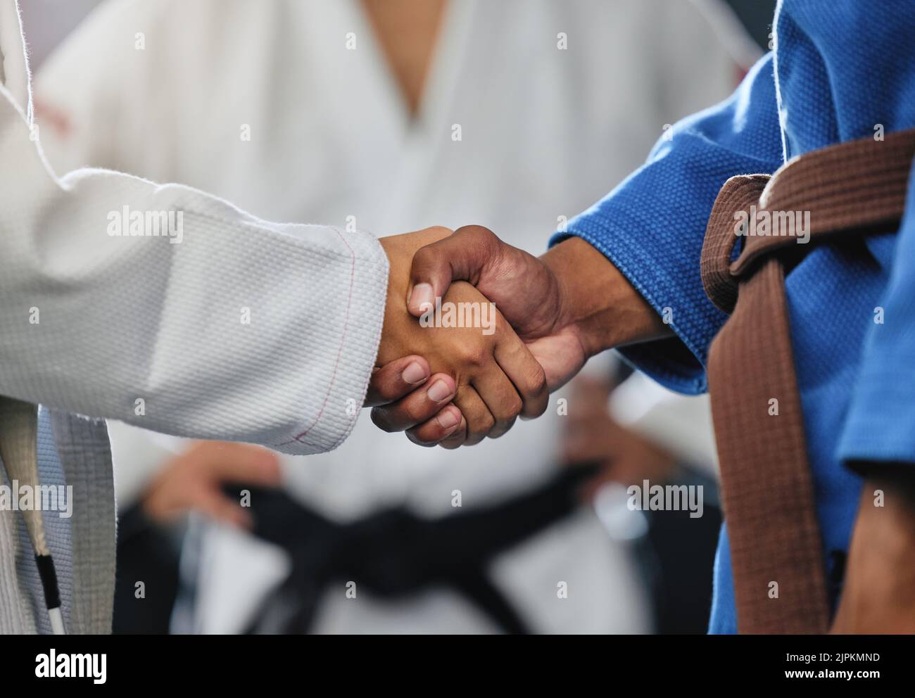 . Handshake, respect and discipline with mma, karate and fight students shaking hands before a