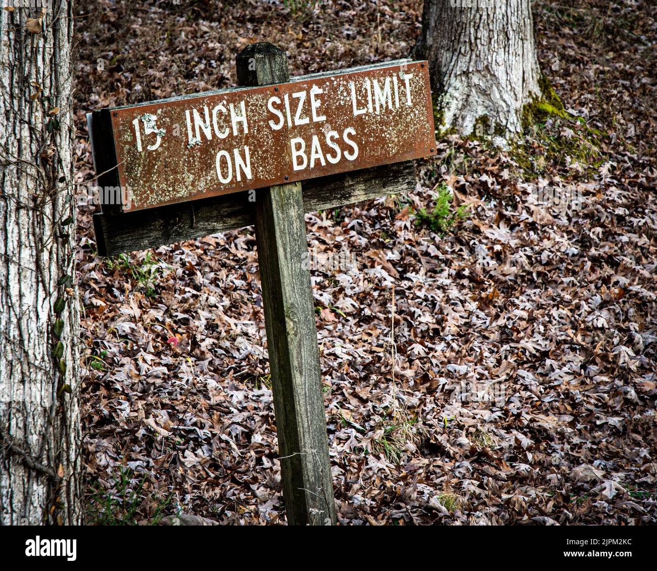 15inch size limit on bass hires stock photography and images Alamy