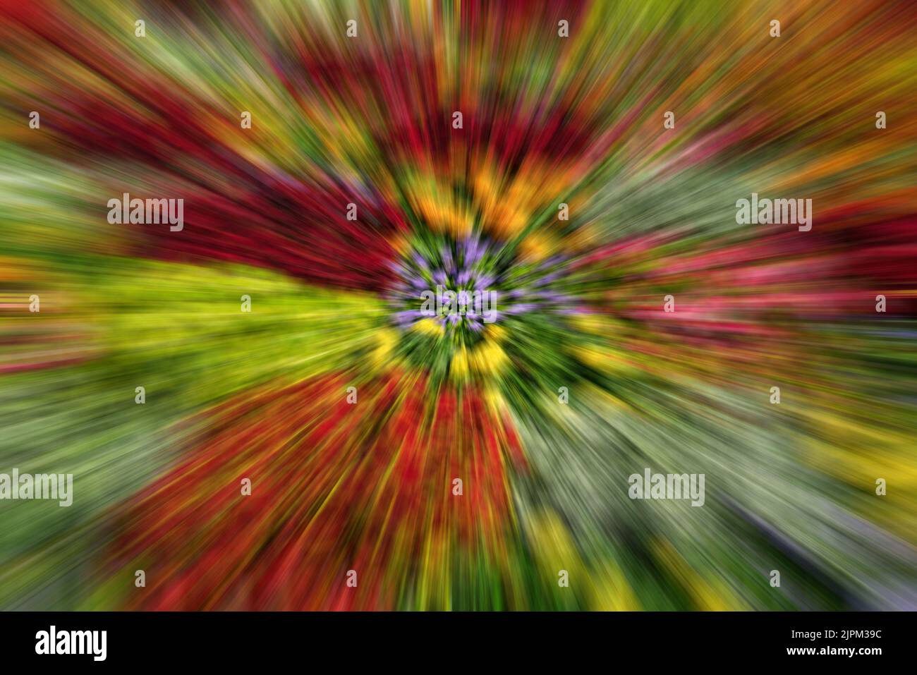 Abstract blurred colorful psychedelic background. Stock Photo