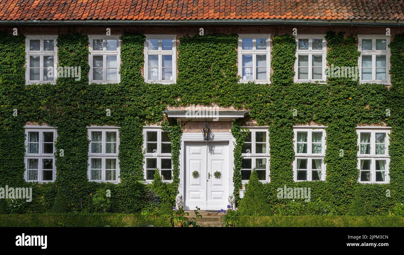 Front view of green house overgrown with creepers in Schnackenburg in Lower saxony Germany at the former inner-German border between East and West Germany Stock Photo
