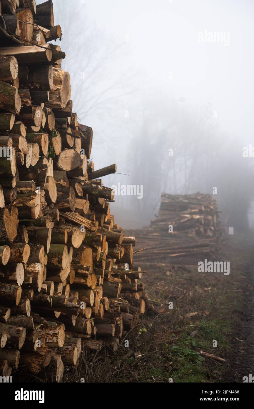 A pile of fire logs ready to be burn Stock Photo Alamy