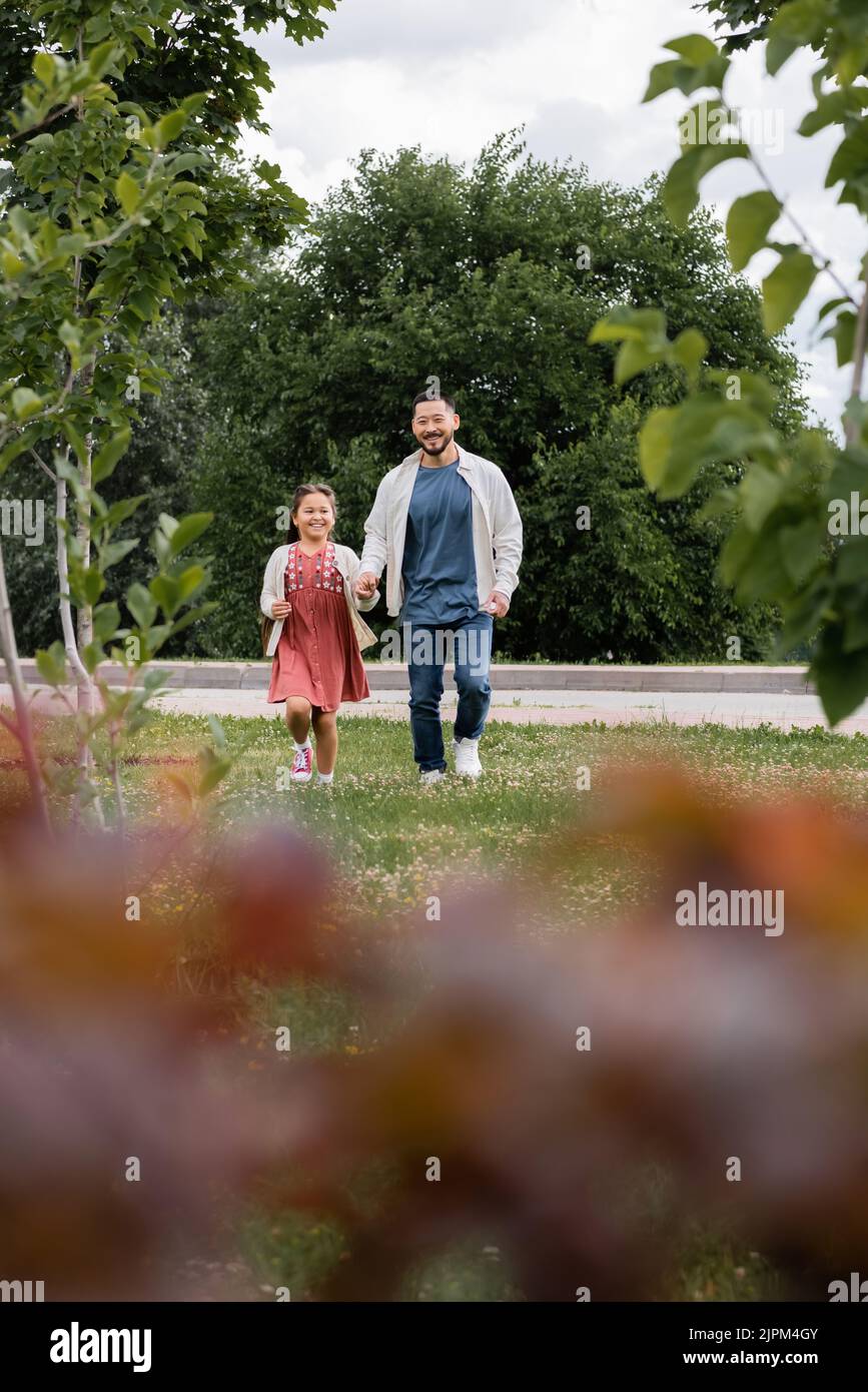 Positive asian father and daughter walking on grass in park Stock Photo ...