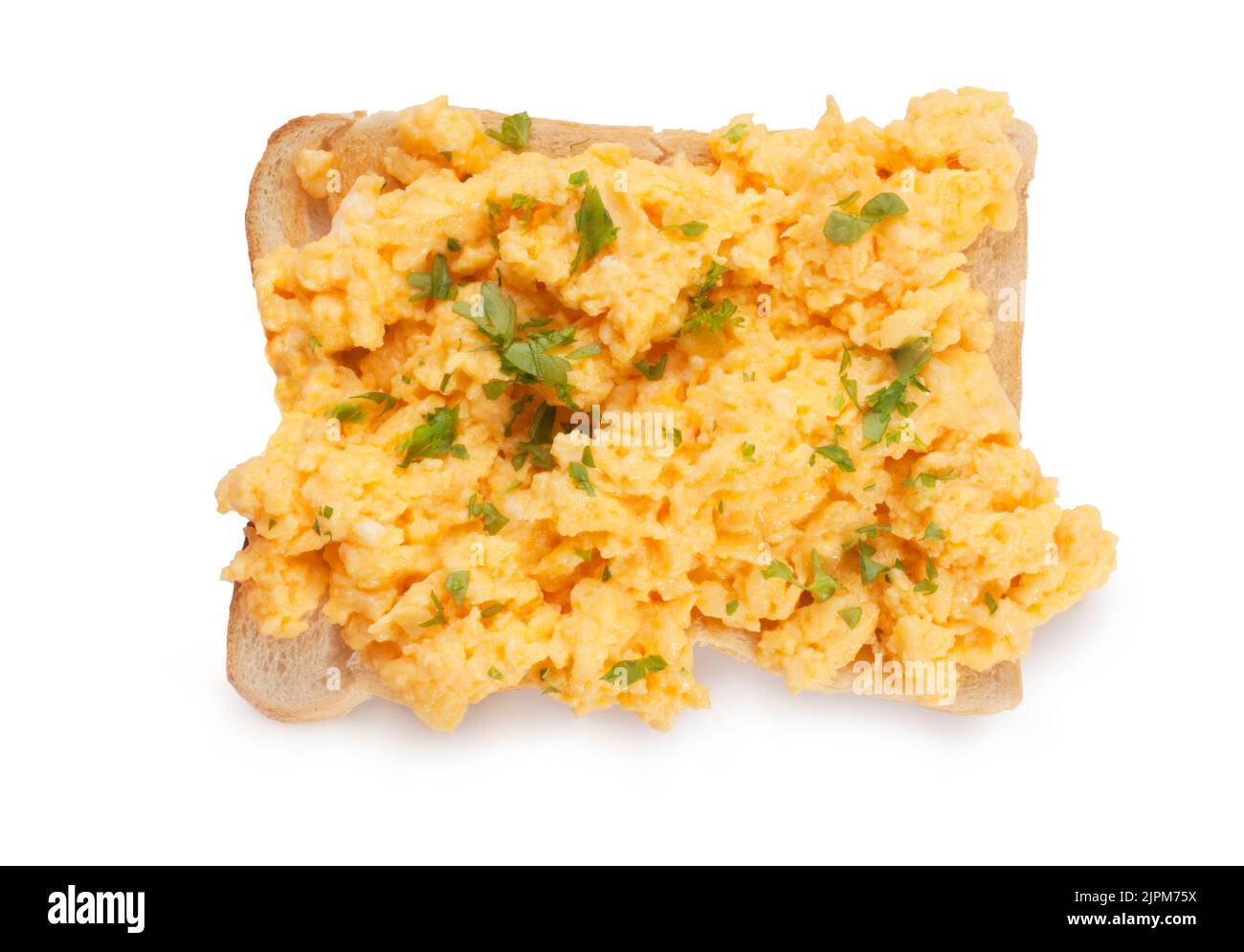 Studio shot of scrambled eggs on toast cut out against a white background - John Gollop Stock Photo