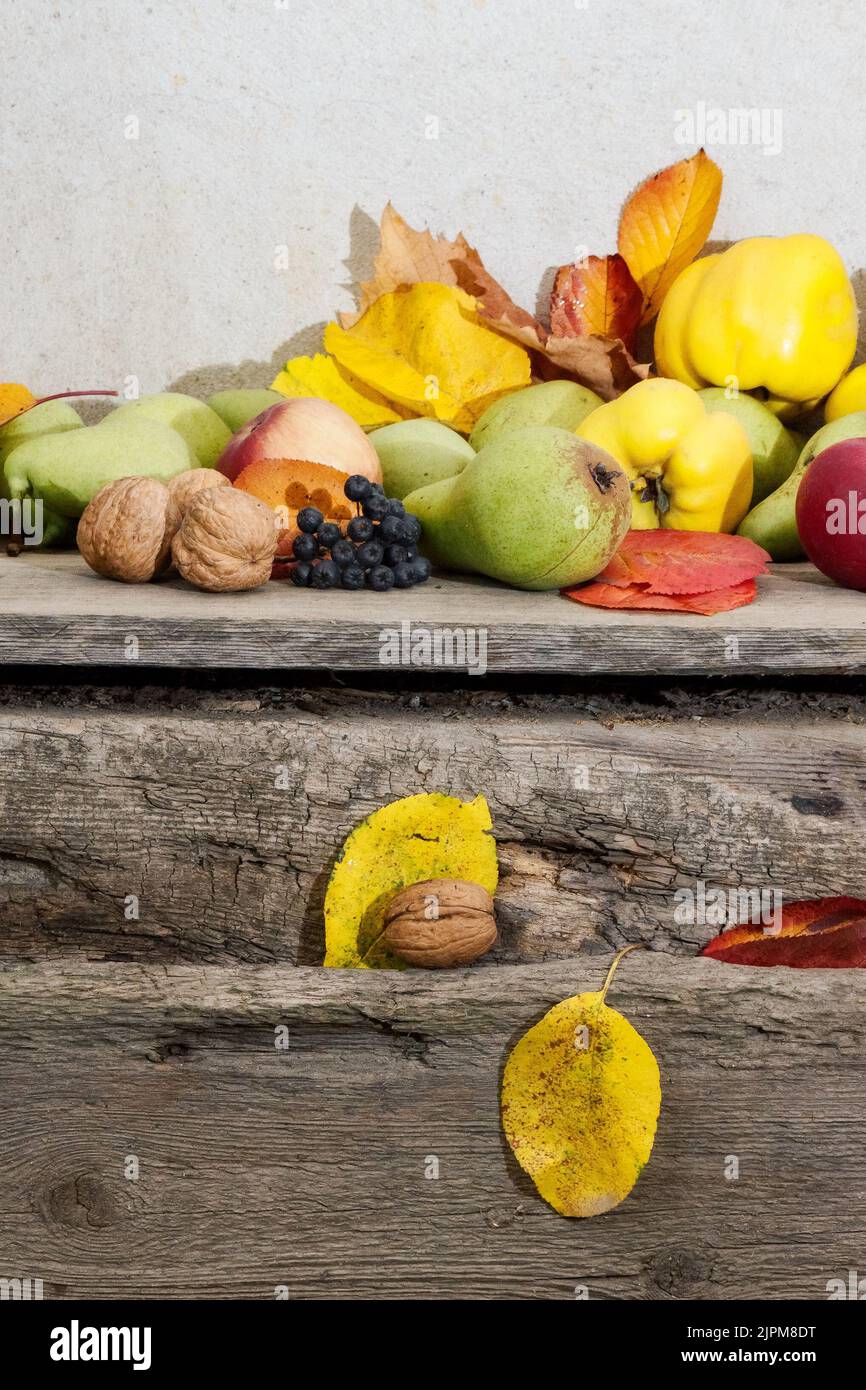autumn harvest on the wooden board. bunch of ripe fruits. natural grown healthy food and sustainable living Stock Photo