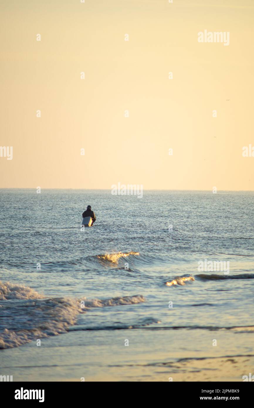 Catching mussels hires stock photography and images Alamy