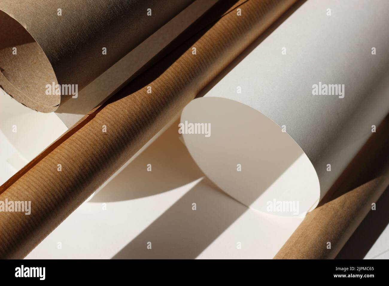 Brown Paper Rolls on White Background. Modern Design Studio Mockup