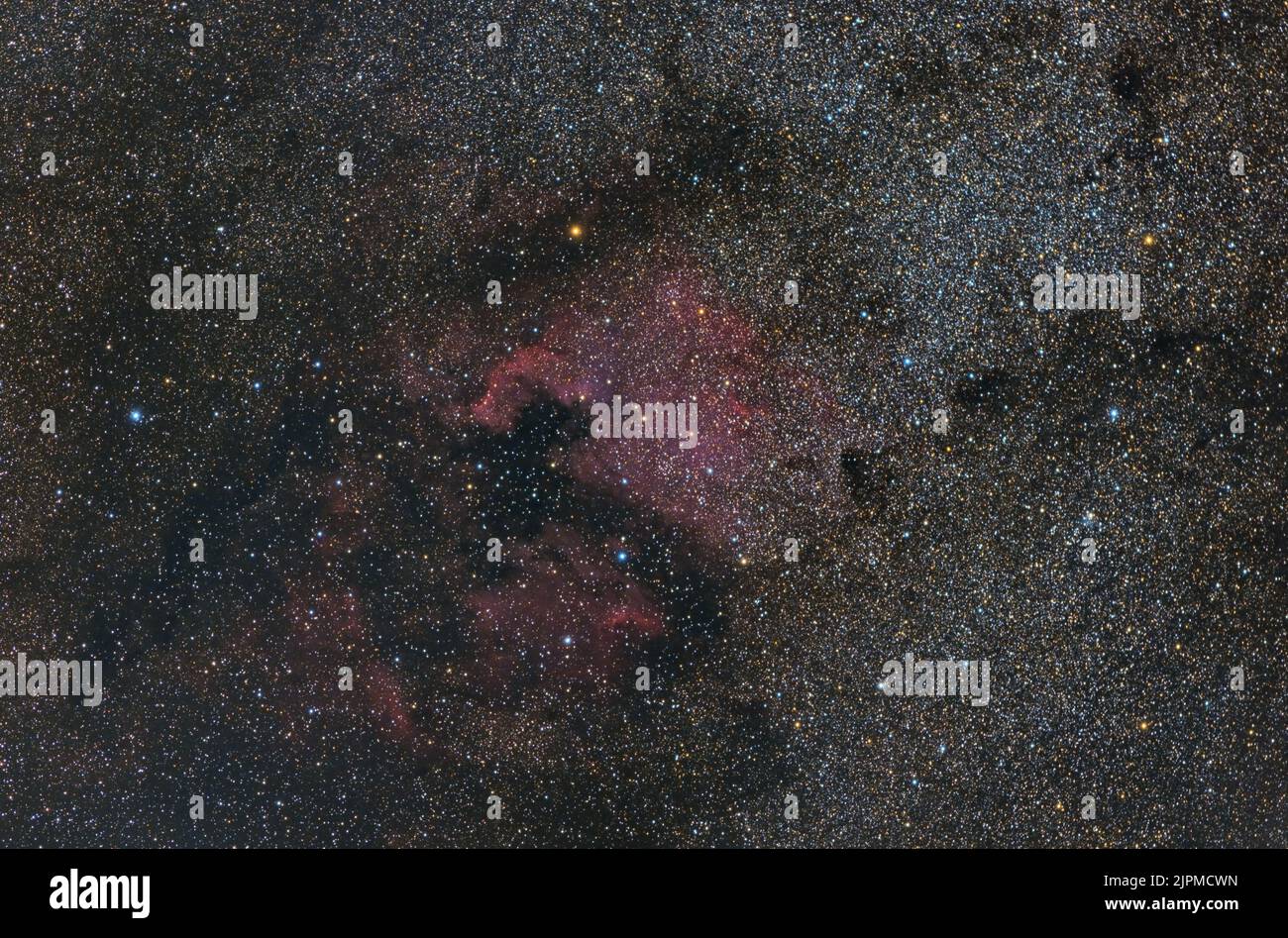 Milky Way in the constellation of Cygnus and the  North America nebula. Night sky chart and  stars background Stock Photo