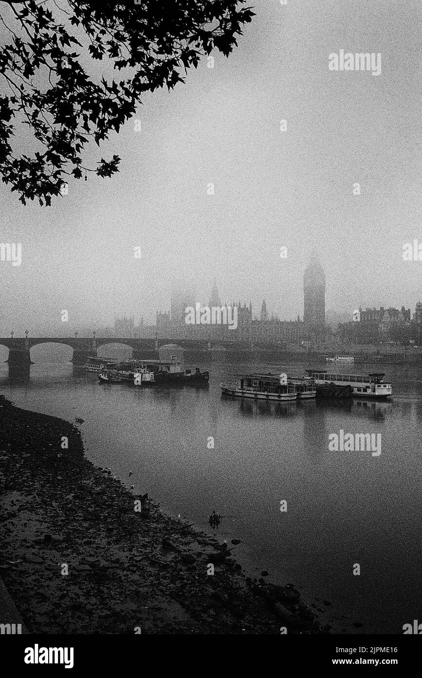 Foggy landscape of The Palace of Westminster / Houses of Parliament viewed from the South bank. London. England. GB Stock Photo
