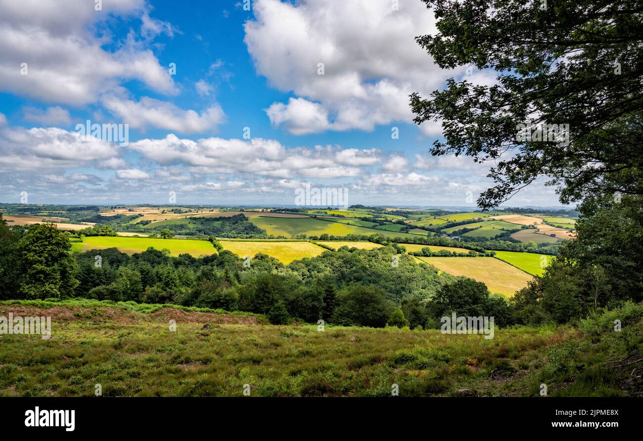 View from Wooston Castle, an iron-age hill fort high on a promontory overlooking the valley of the River Teign, Devon, England, UK Stock Photo
