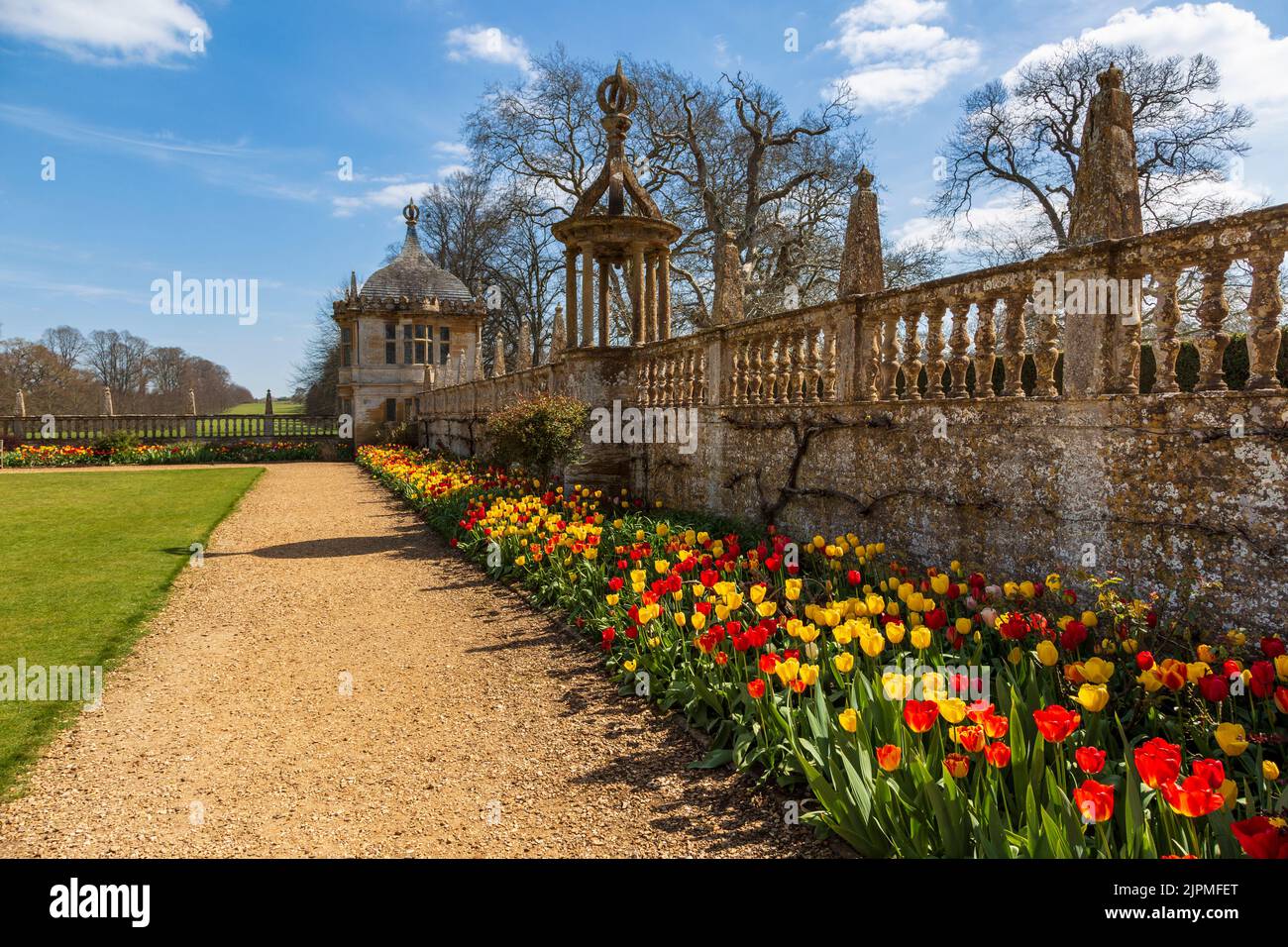 Spring tulips in the garden borders at Montacute House, Somerset, England Stock Photo