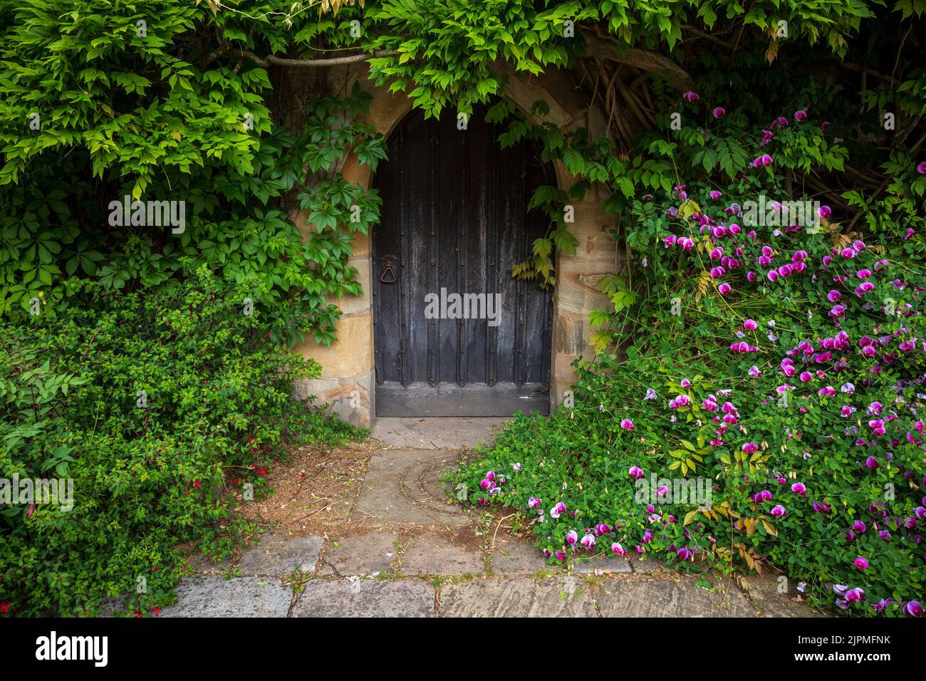 An entrance door shrouded by climbing plants at Chirk Castle, Wrexham, North Wales Stock Photo