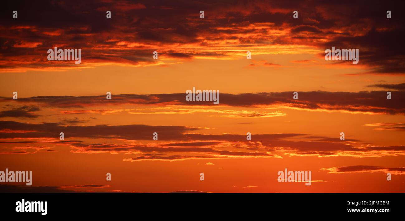 Beautiful sky background Sunset or Sunrise sky with light clouds ...