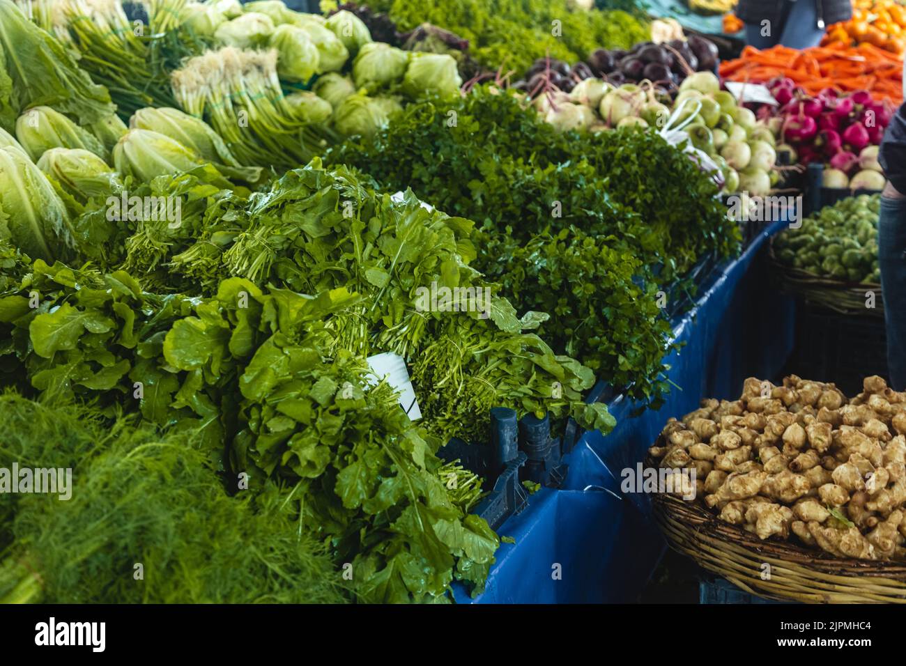 buying-fresh-organic-produce-at-the-farmers-market-fresh-herbs-on-the