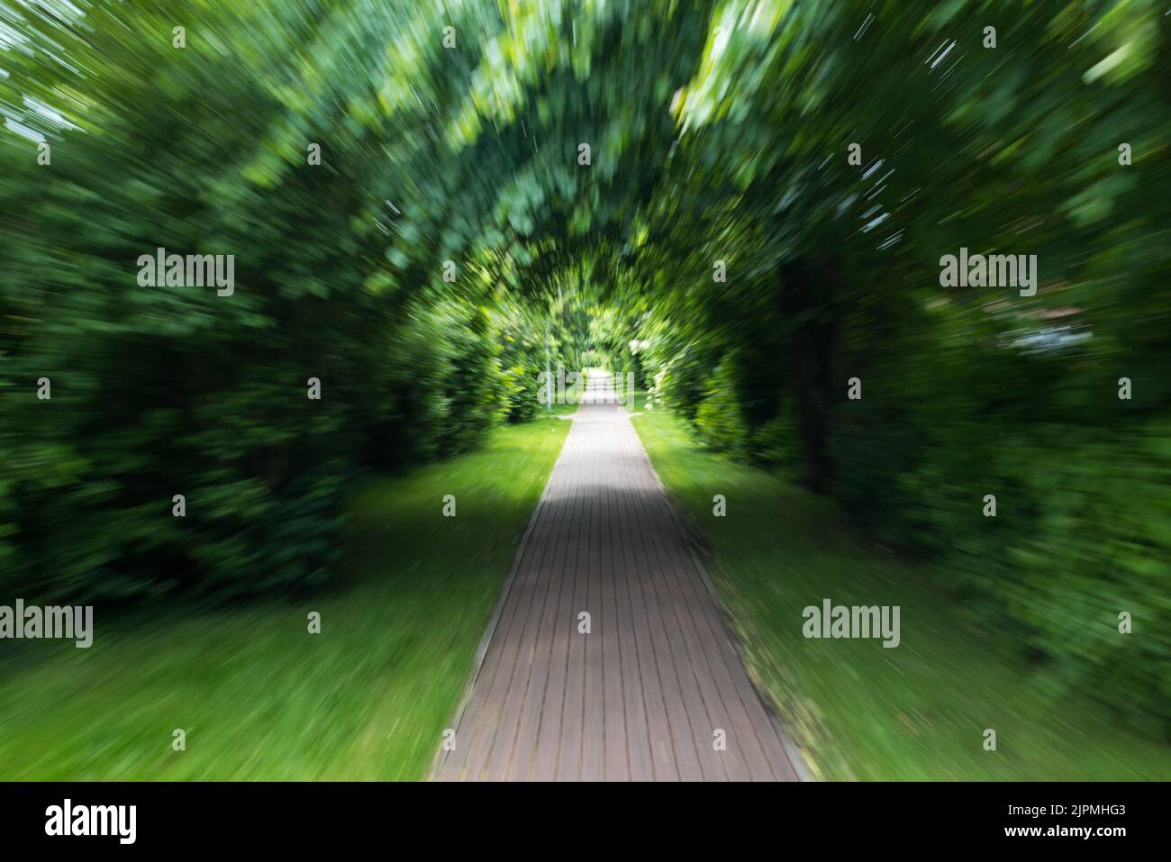 Zoomfoto of an avenue Stock Photo
