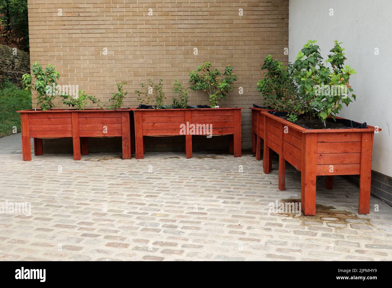 Brown garden planters on legs against building wall Stock Photo Alamy