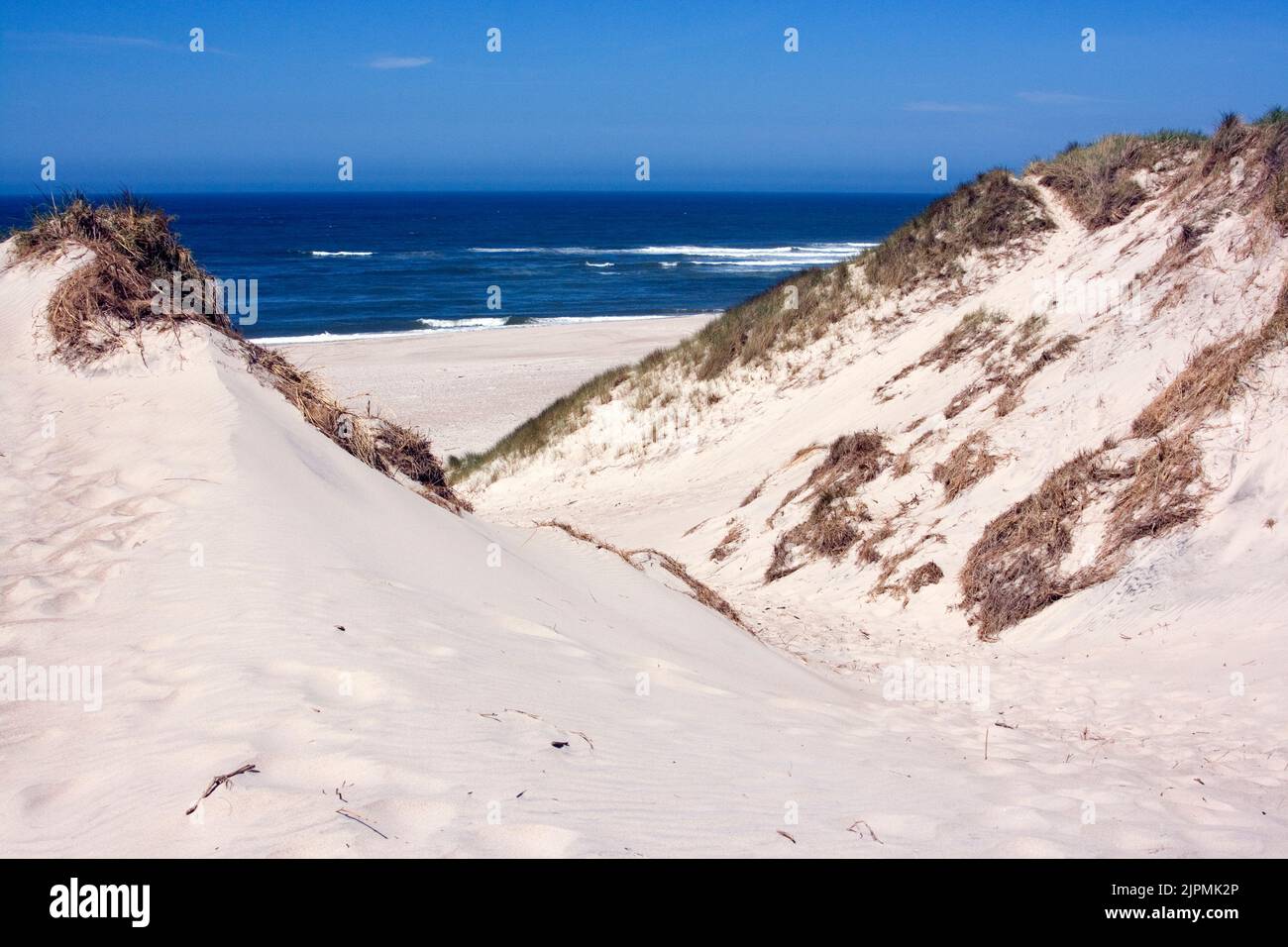 Blick durch einen Dünen-Einschnitt auf den Nordsee-Strand (Holmsand-Klit bei Nymindegab) x v-shaped pass through dunes at Holmsand-Klit bei Nymindegab Stock Photo