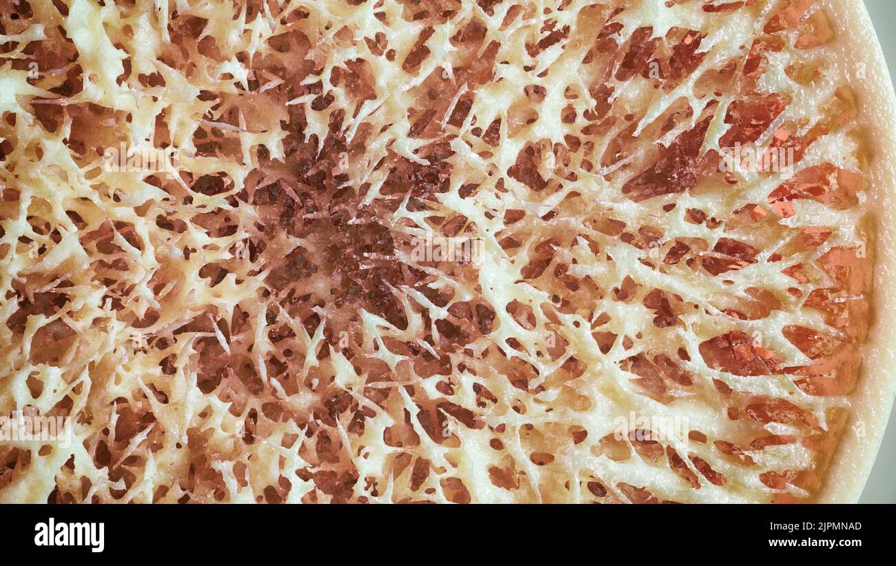 Osteoporosis - Cross Section of a bone - 3D Rendering Stock Photo - Alamy