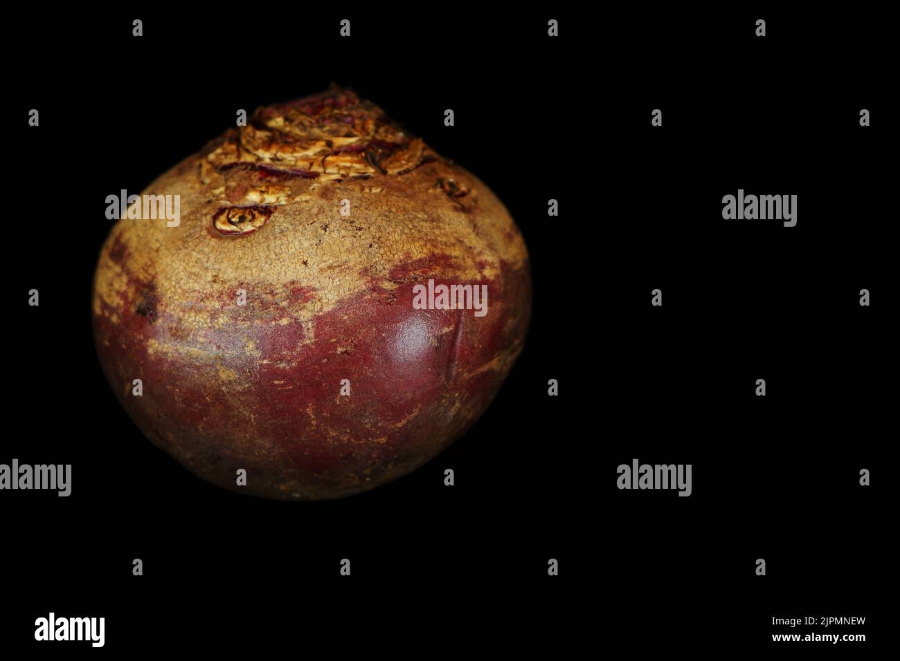 a single beetroot isolated on black background with close up vi Stock Photo