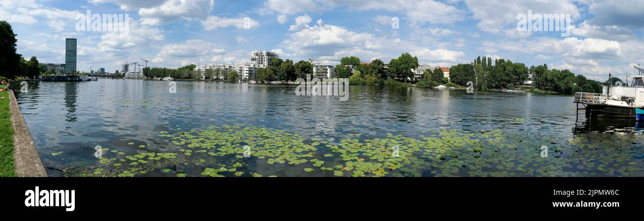 Spreeufer, Spätsommer in Berlin, Wasserpflanzen, Strahlau, Blick vom Treptower Park, Berlin, Deutschland, Stock Photo