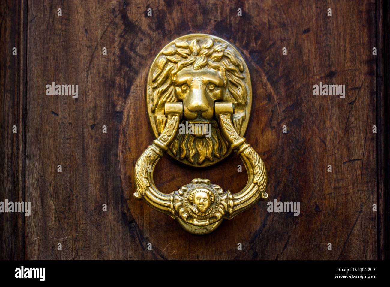 Vintage antique bronze gilt round lion head door handle on a front door