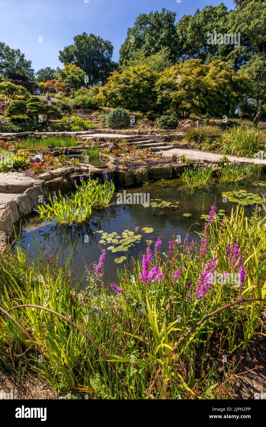 The Rock Garden at RHS Wisley, Surrey, England, UK Stock Photo