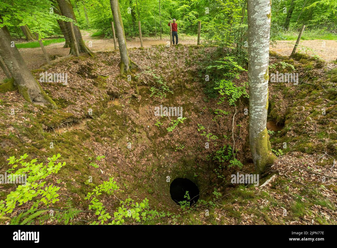 France, Seine Maritime, Maucomble, Eawy Forest, the Puits Merveilleux, Wonderful well, hole that plunges more than 25 meters underground // France, Se Stock Photo
