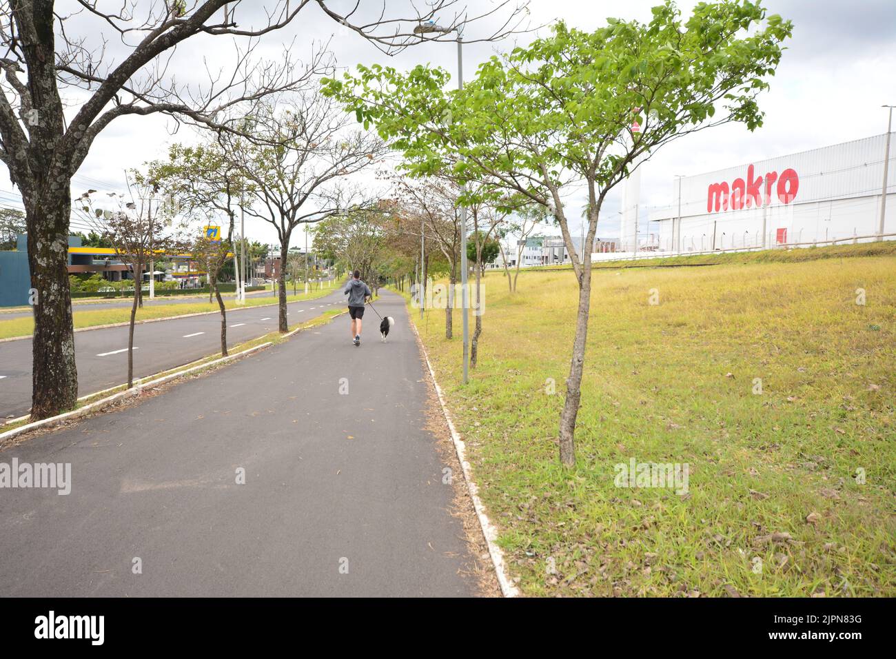 Young man walking with dog on a leash, on jogging track, in countryside city of São Paulo, Brazil, South America, wide angle Stock Photo