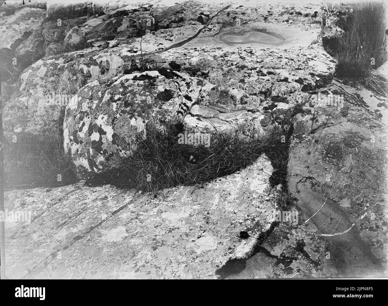 Blocket Black and White Stock Photos & Images Alamy