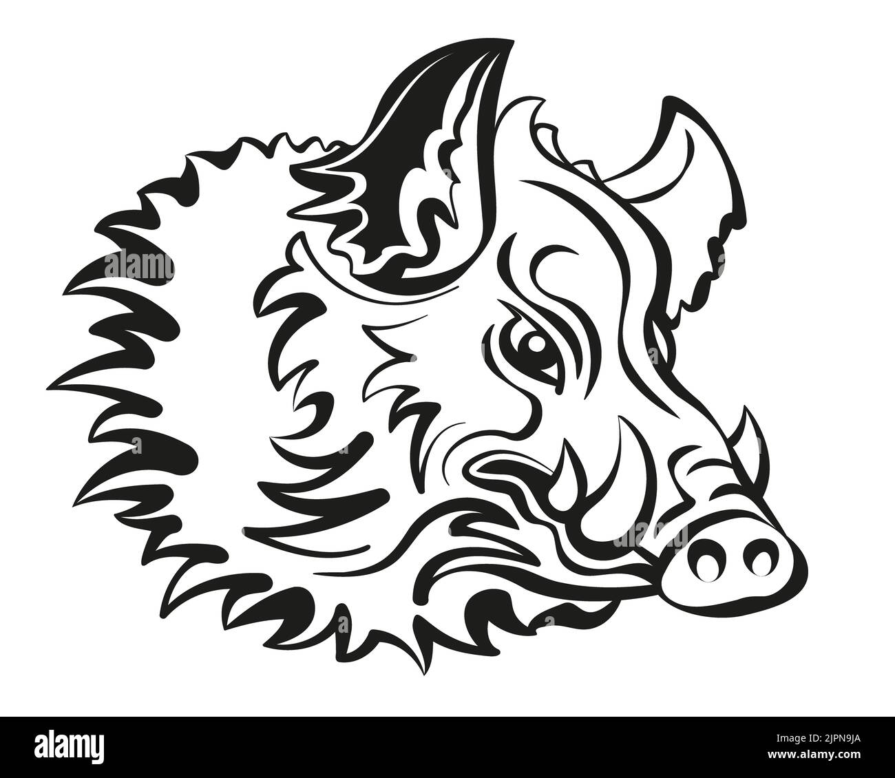 Boar, Wild Hog, Feral Pig with shaggy fur, sharp fangs, dangerous, menacing look, ready to attack. Isolated illustration, black and white on white. Stock Photo