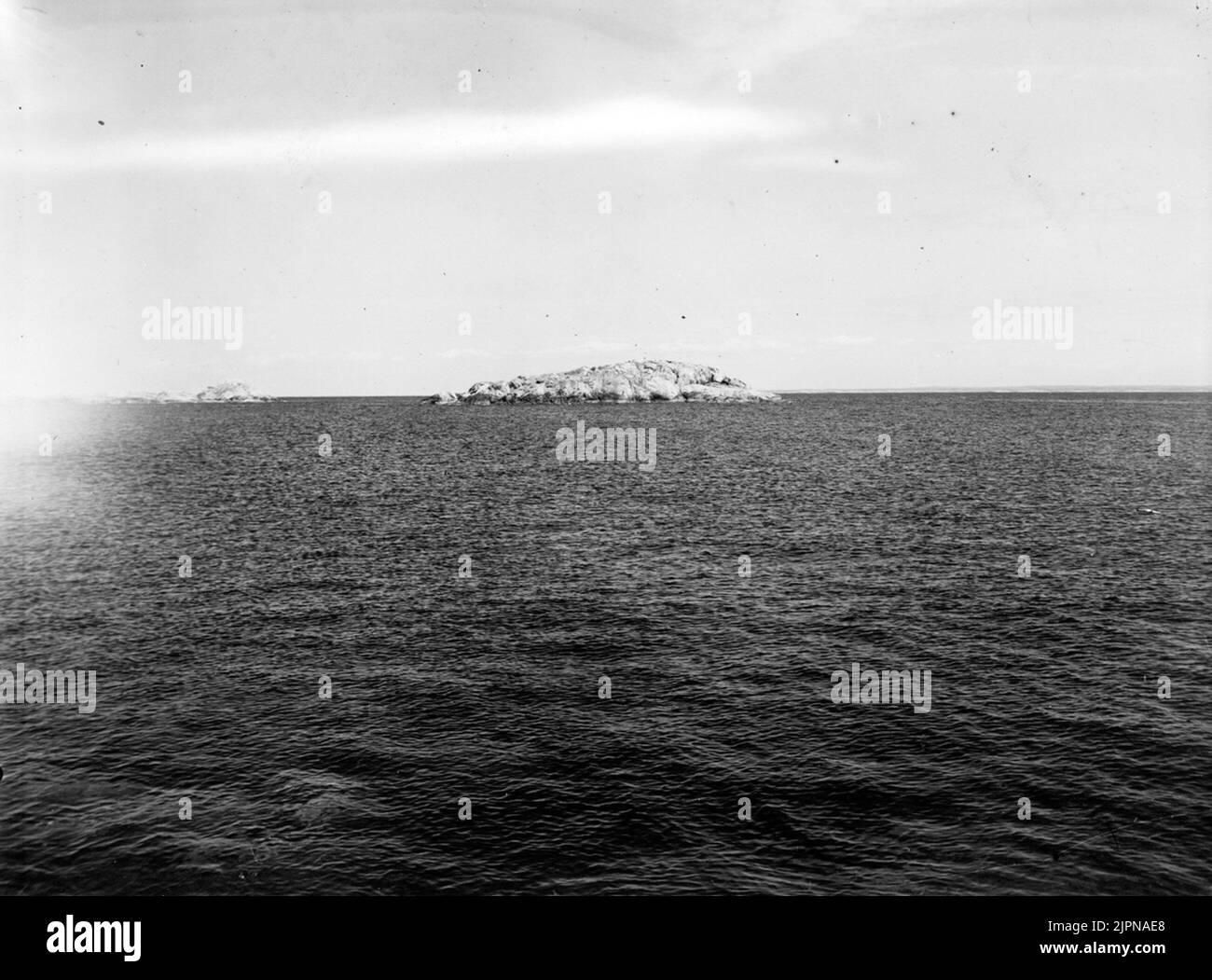 Settlement for puffin (Mormon Arcticus). The big button, the weather