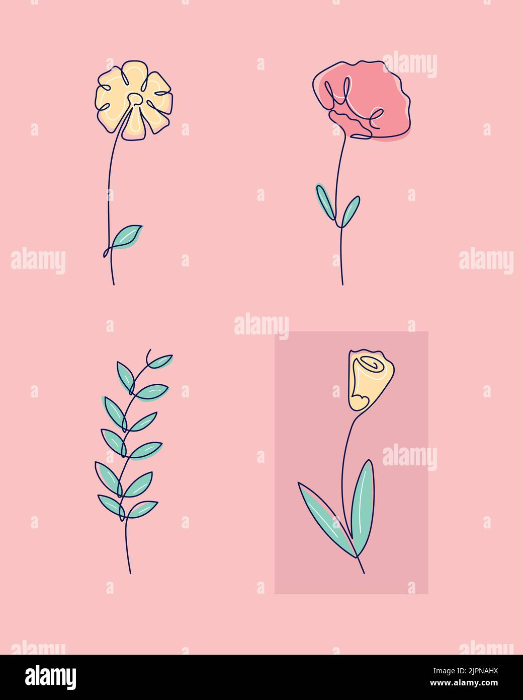 flowers continuous line drawing Stock Vector Image & Art - Alamy