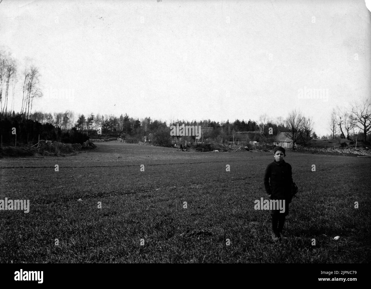 Crochet terrain for tree larch. May 13, 1907. Häckningsterräng för trädlärka. 13 maj 1907. Stock Photo